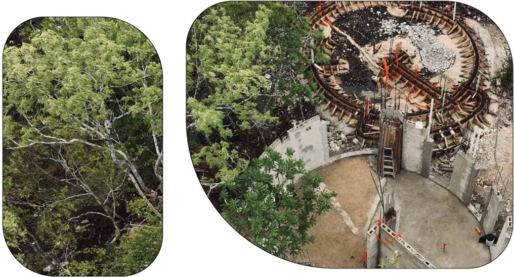 Nek Ha · Work in progress — June 2024
