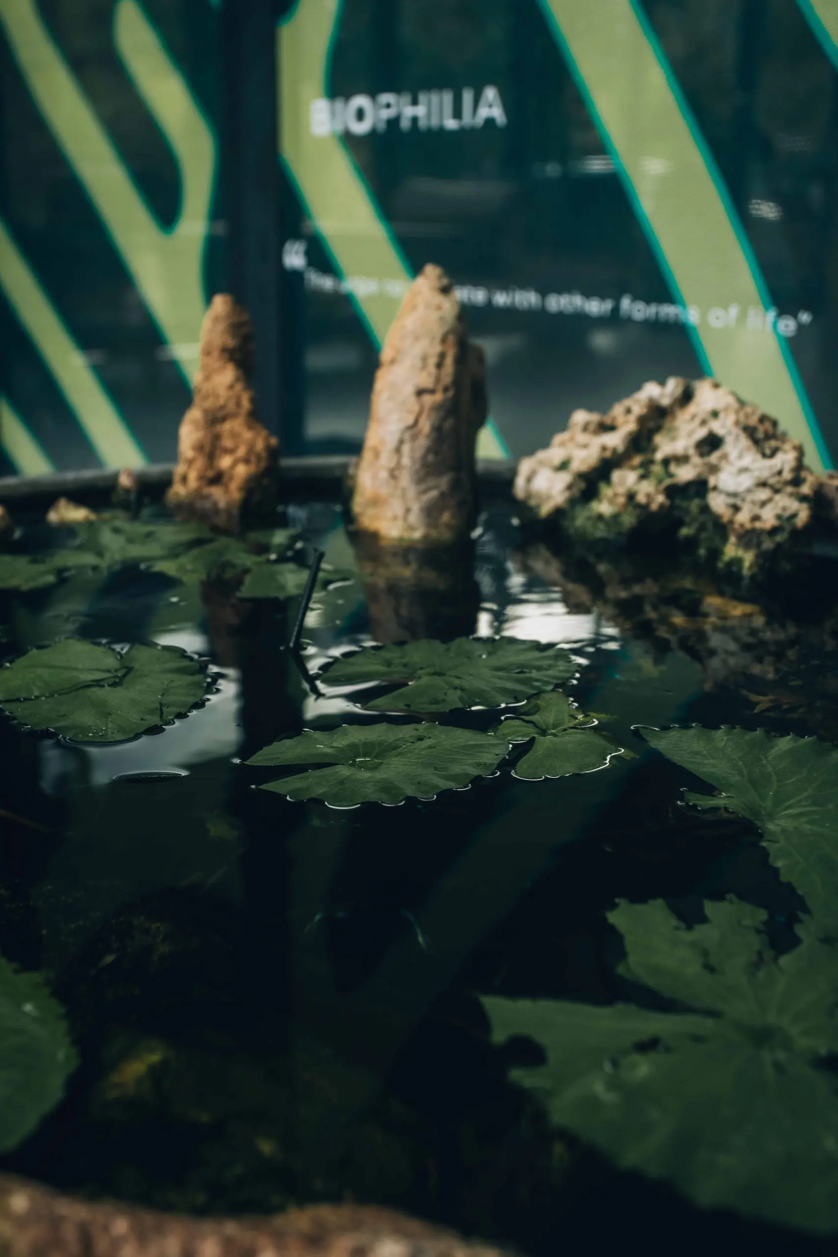 Hypha Inc. HQ — Tecnología y naturaleza en equilibrio creativo