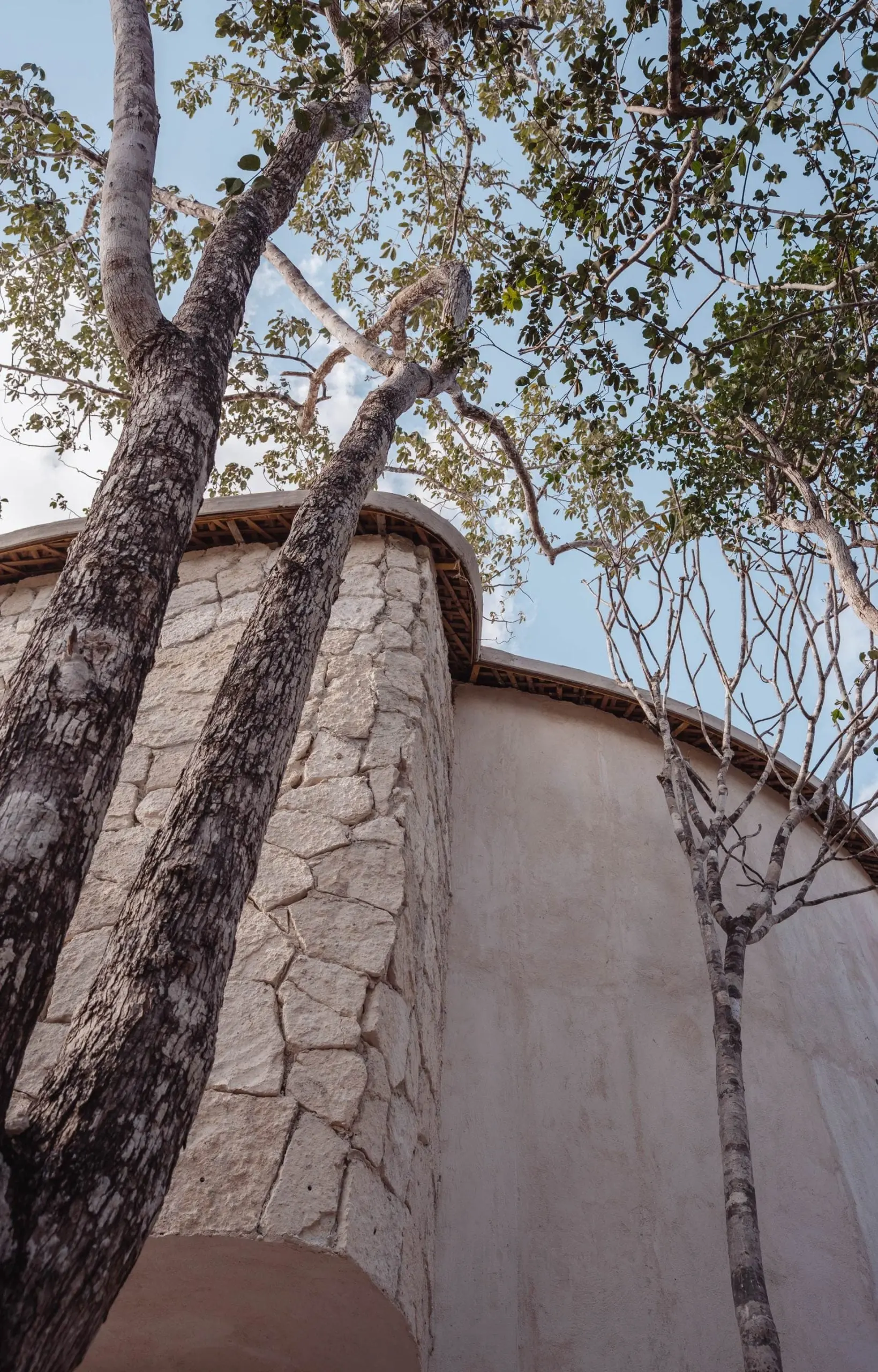 Parque Nek Ha — Vida de alto nivel bajo la mirada de la bioarquitectura