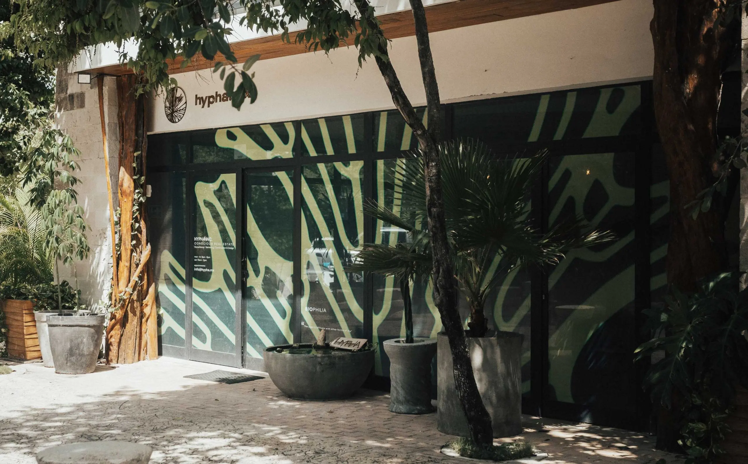 Hypha Inc. HQ — Un lugar para trabajar y un sistema vivo