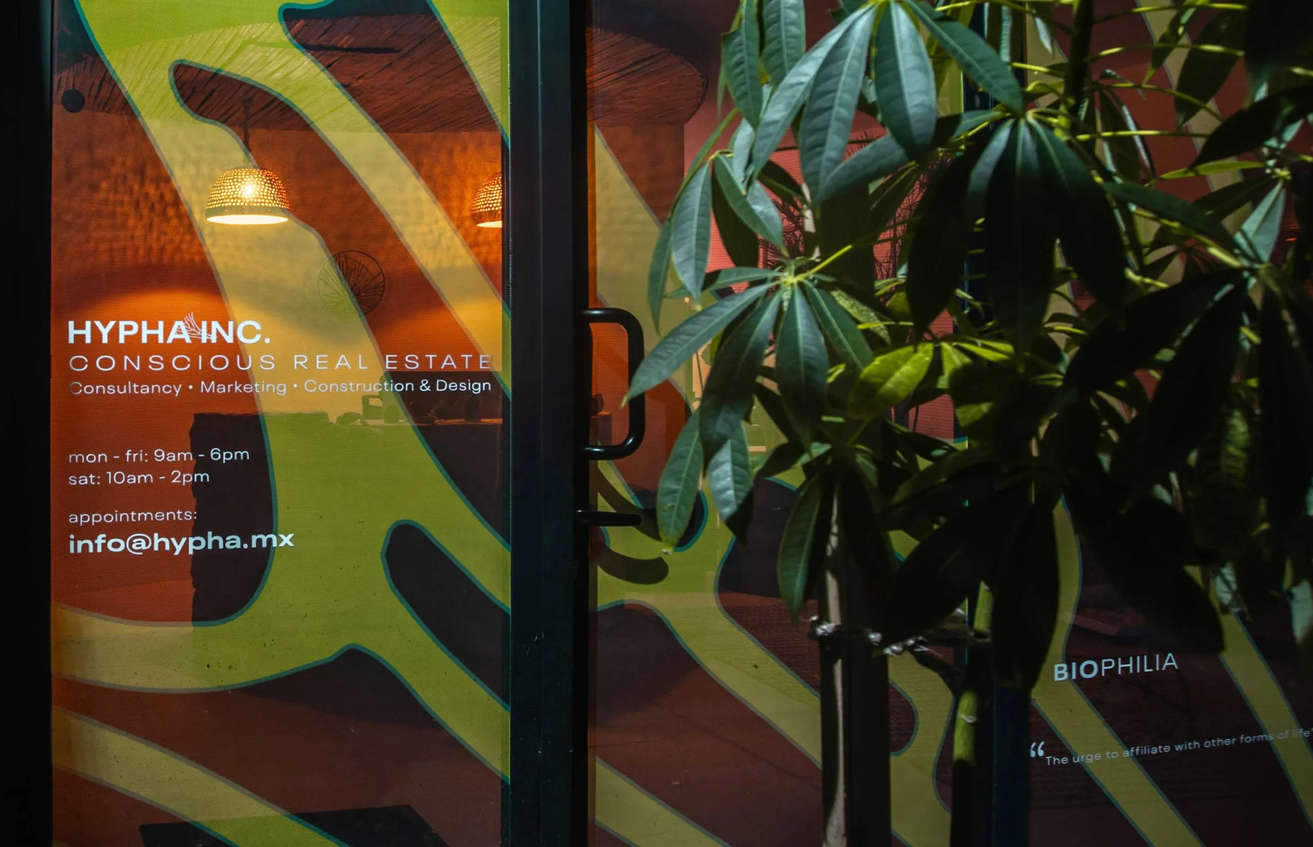 Hypha Inc. HQ — A creative hub that blurs the line between indoor and outdoor