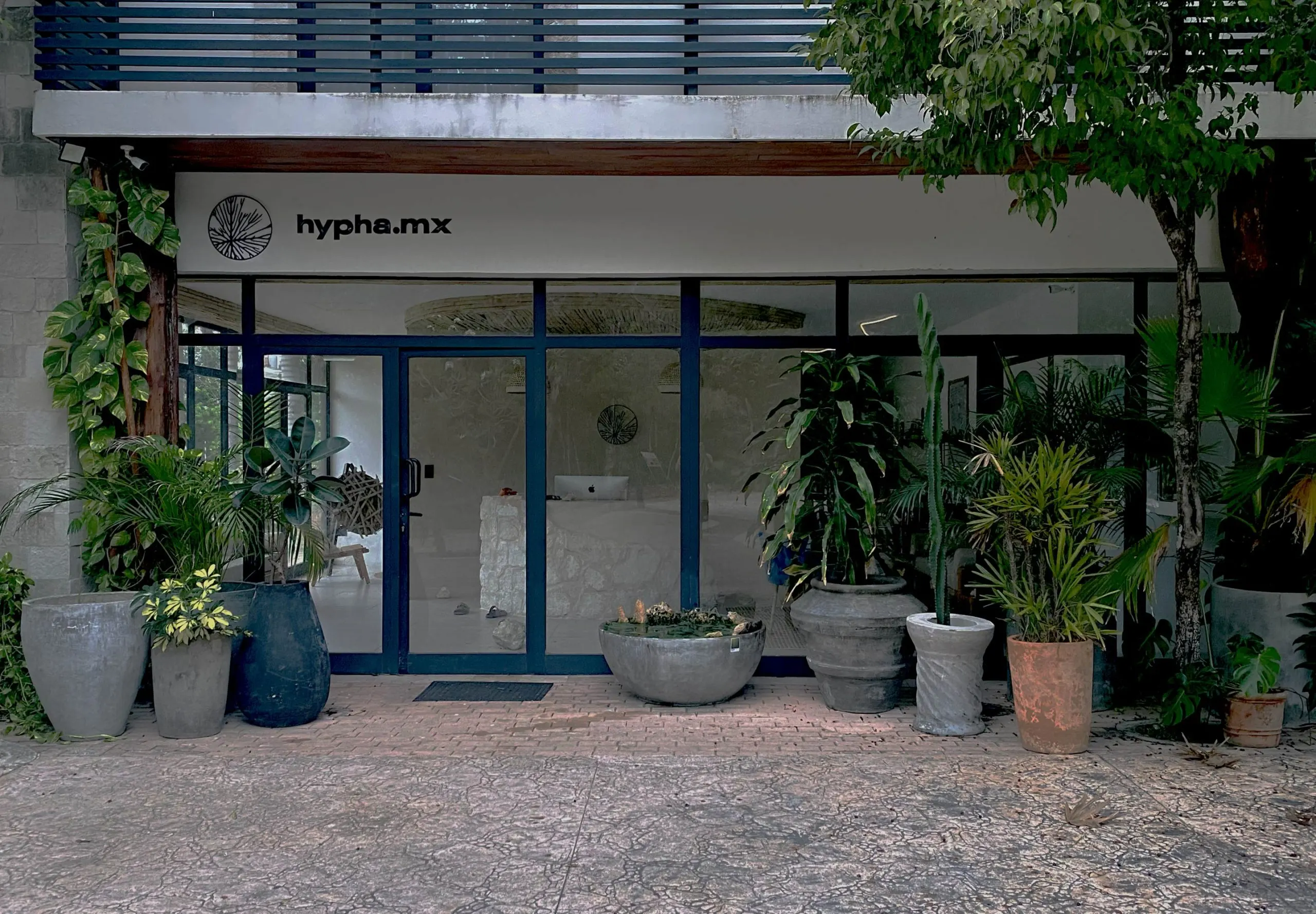 Hypha Inc. HQ — Un lugar para trabajar y un sistema vivo