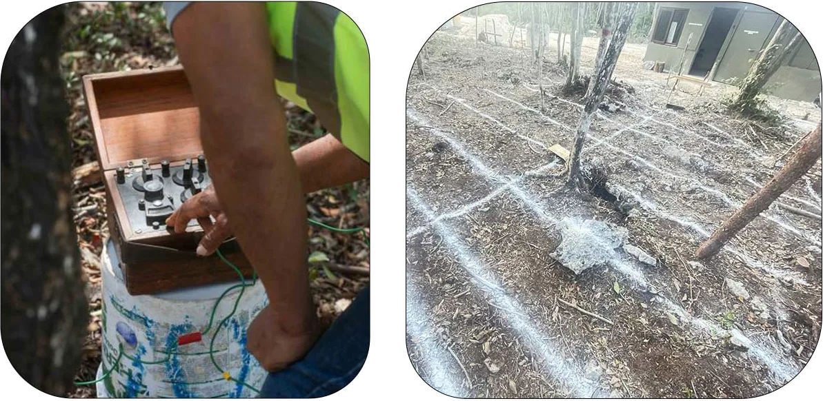 Nek Ha · Work in progress — January 2024