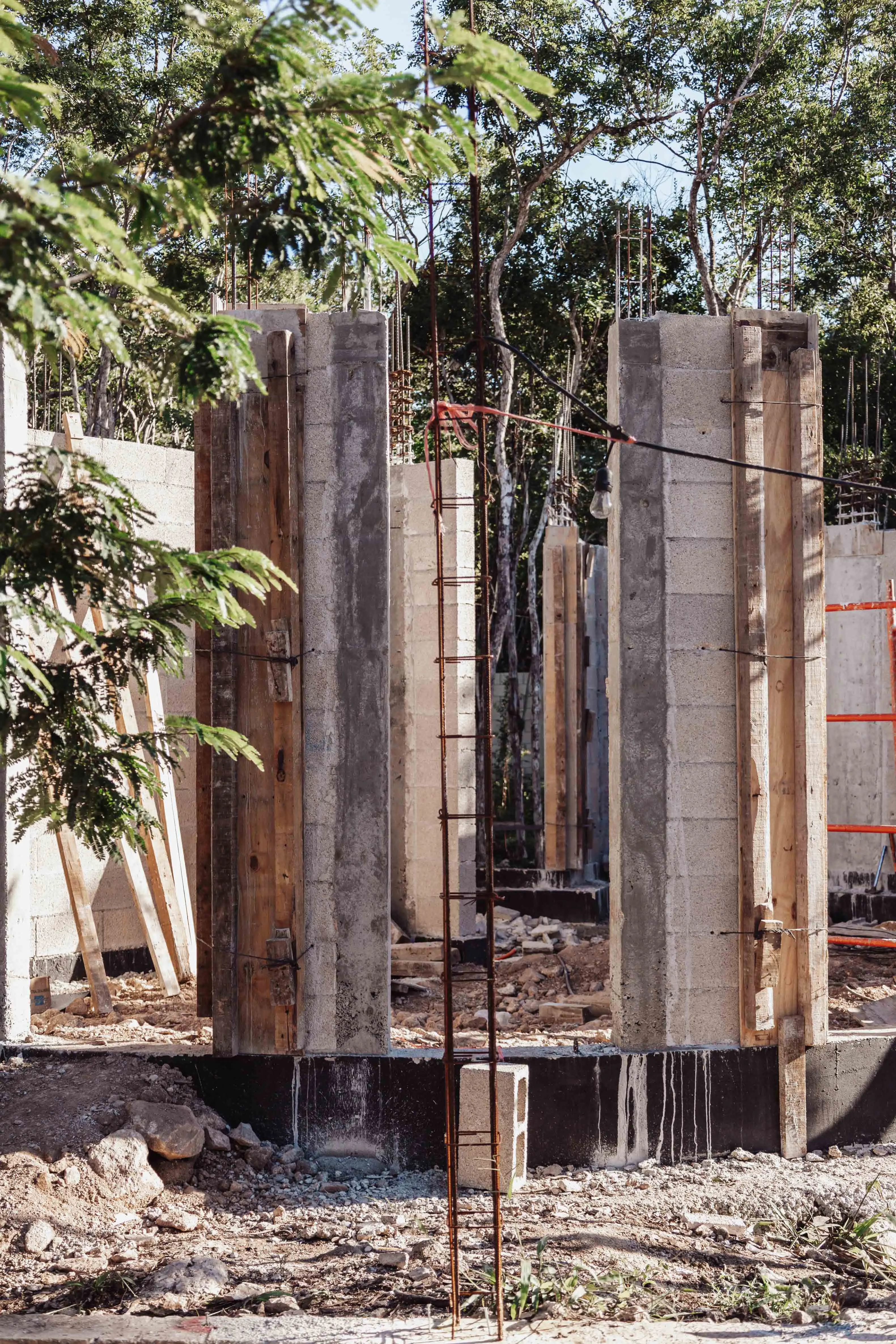 Nek Ha · Work in progress — November 2024 — 1