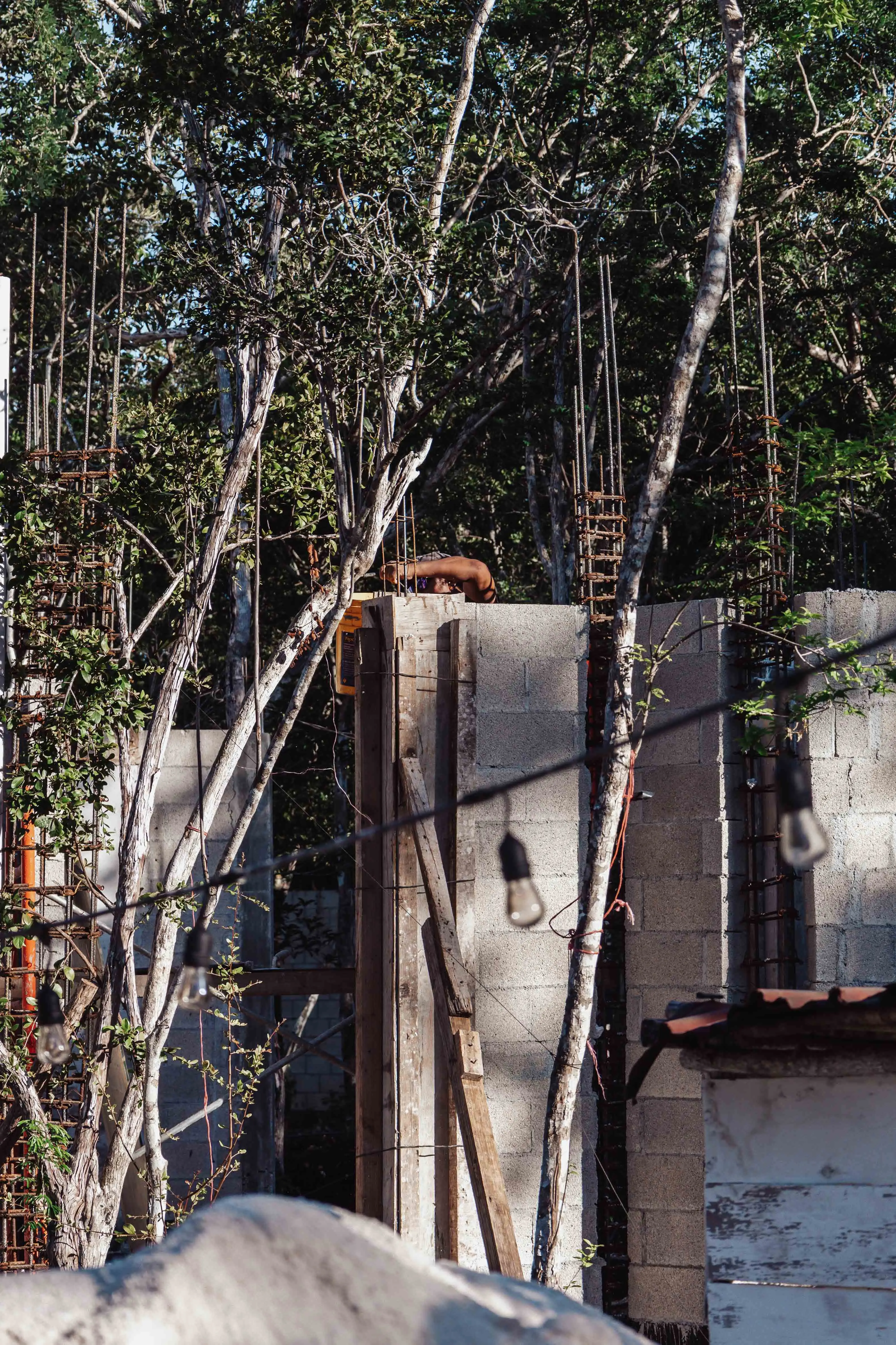 Nek Ha · Work in progress — November 2024 — 19