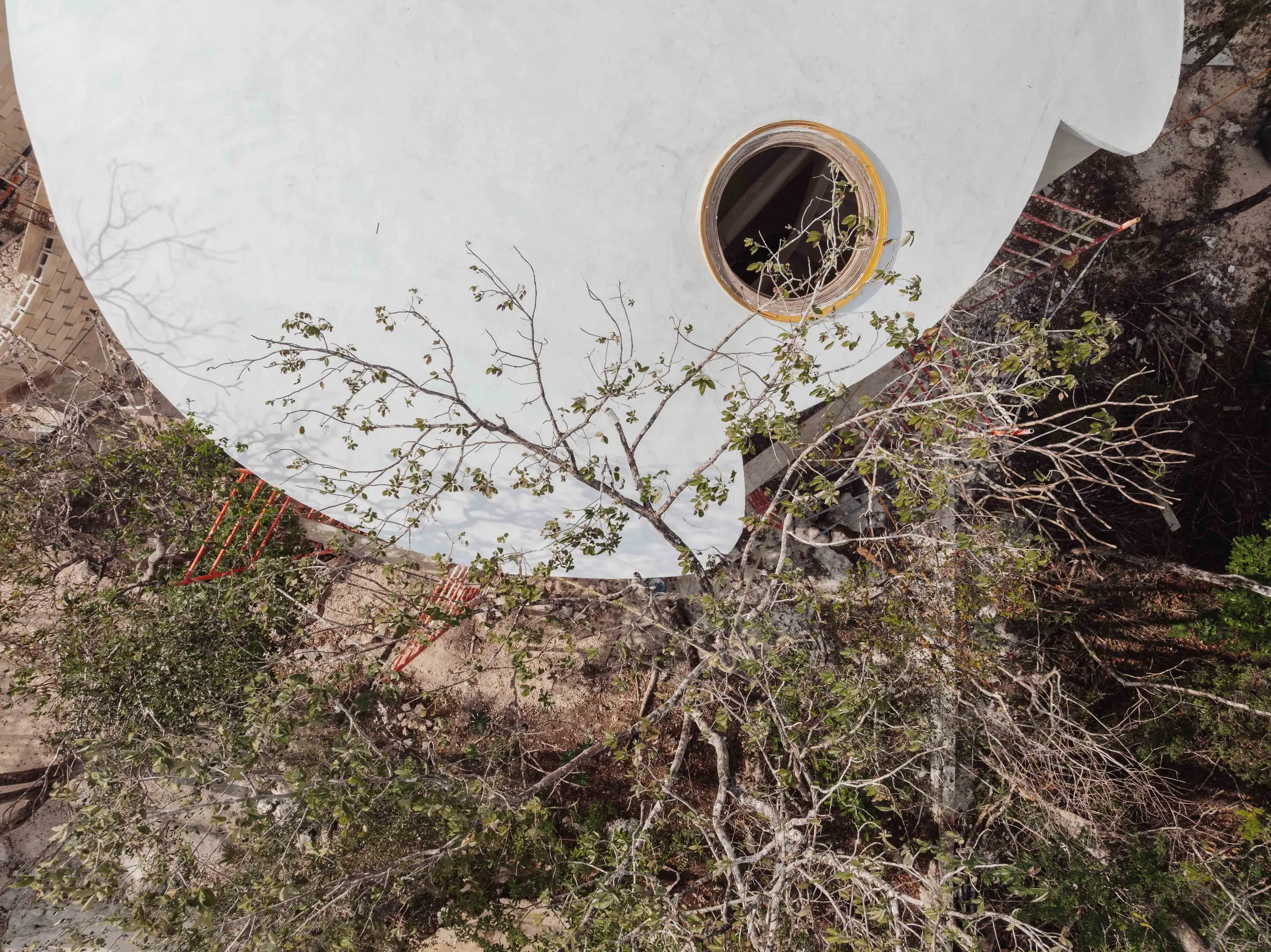 Nek Ha · Work in progress — March 2025 — 1