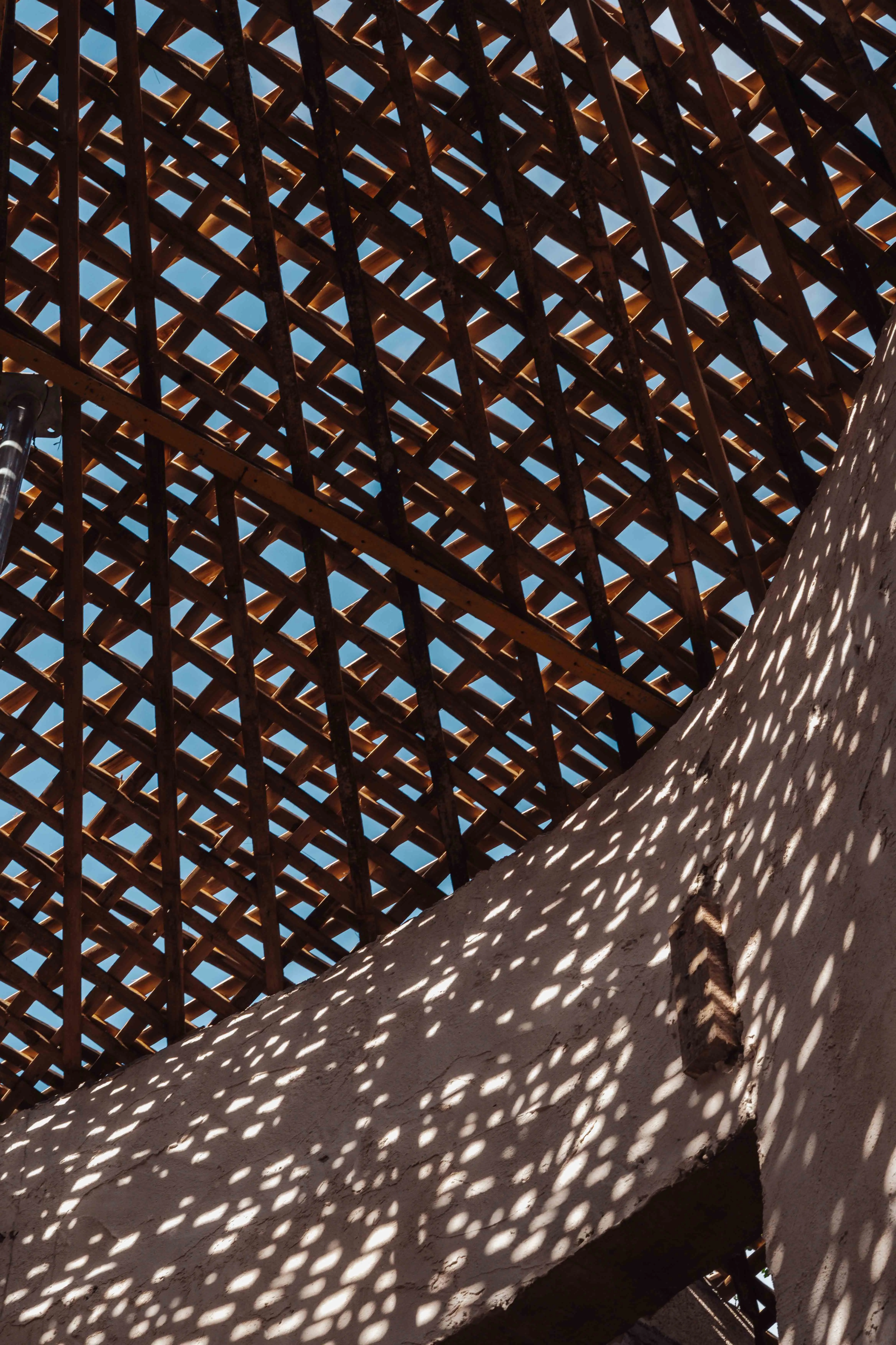 Nek Ha · Work in progress — January 2025 — 9