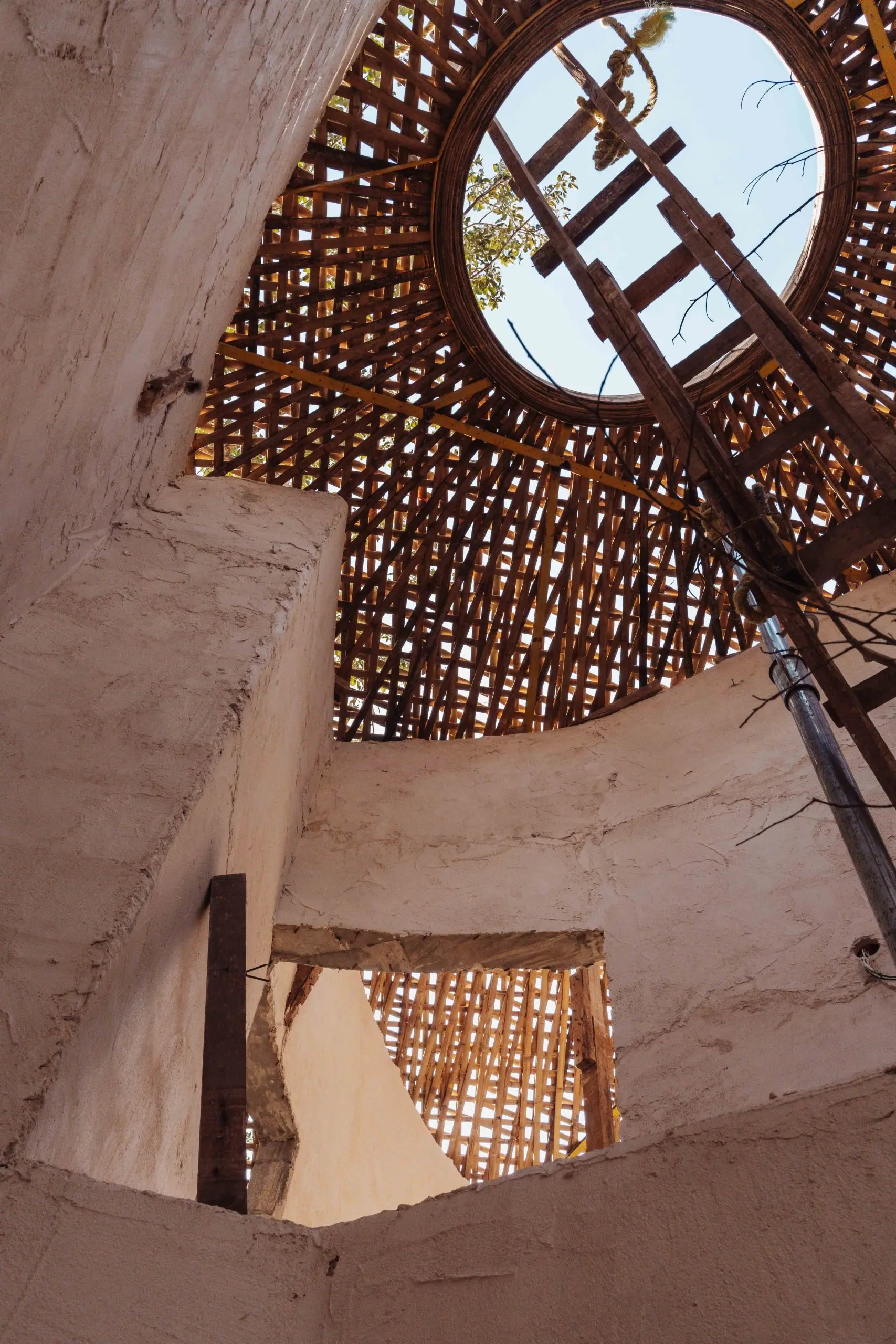 Nek Ha · Work in progress — January 2025 — 12