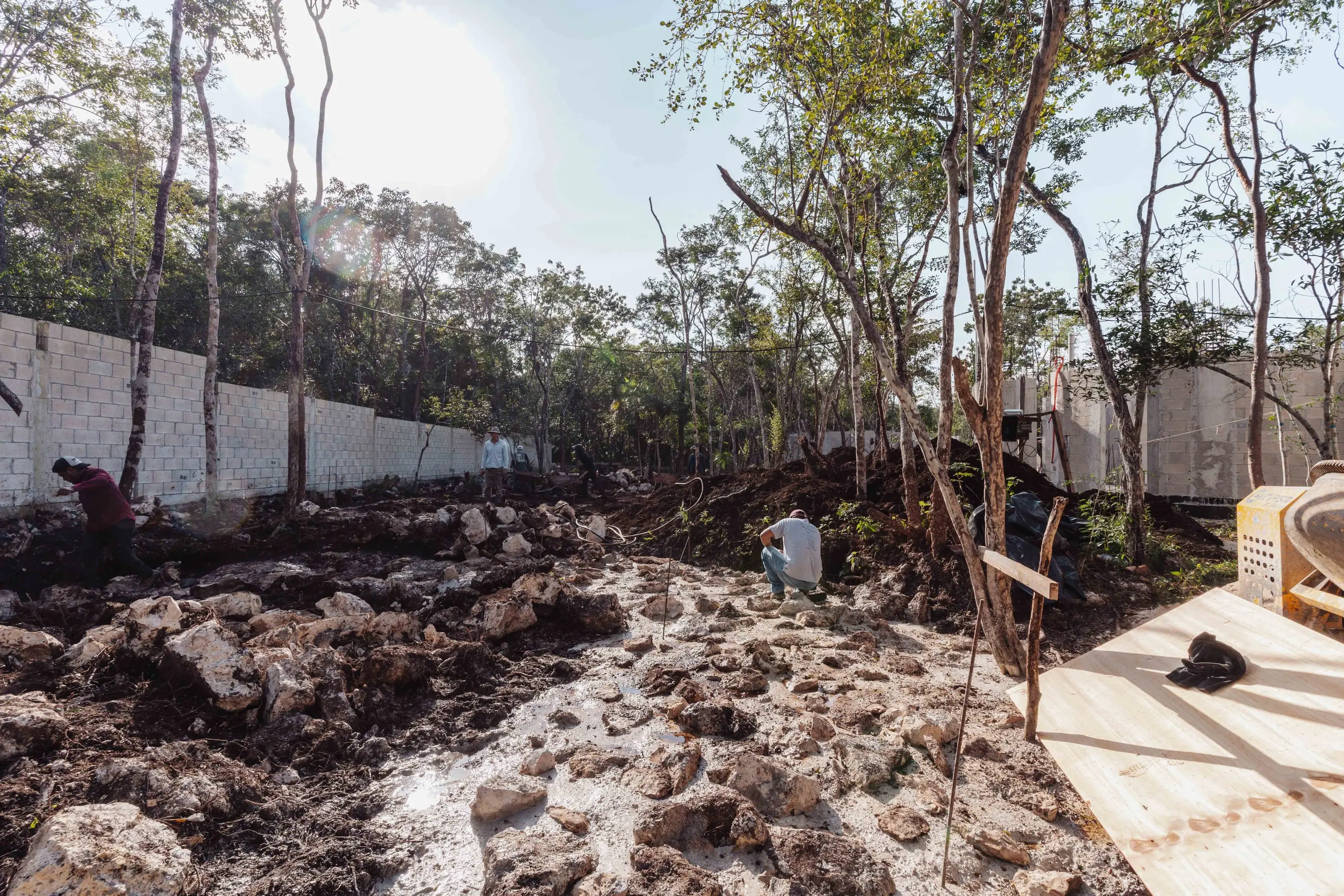 Nek Ha · Work in progress — January 2025 — 13