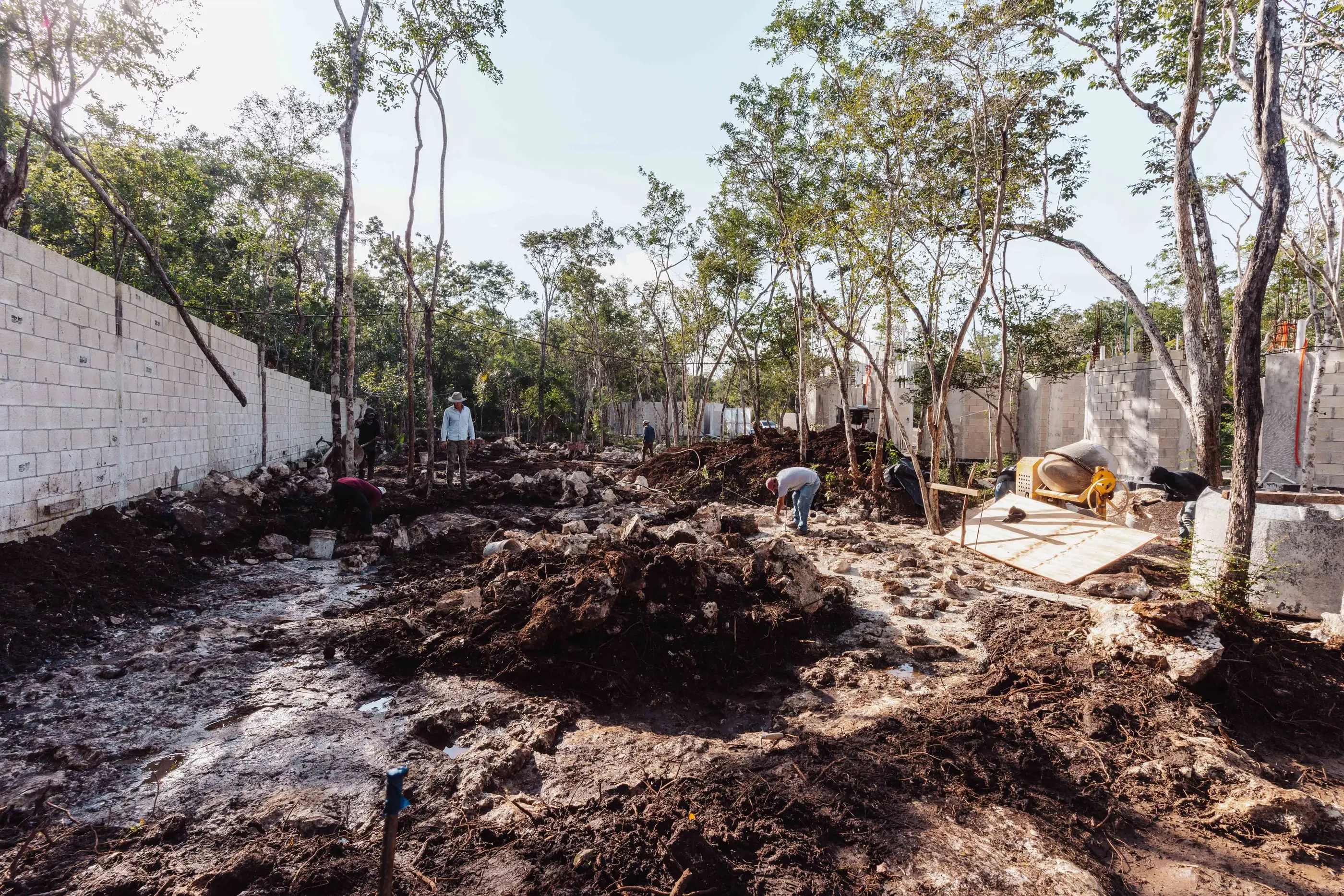 Nek Ha · Work in progress — January 2025 — 14