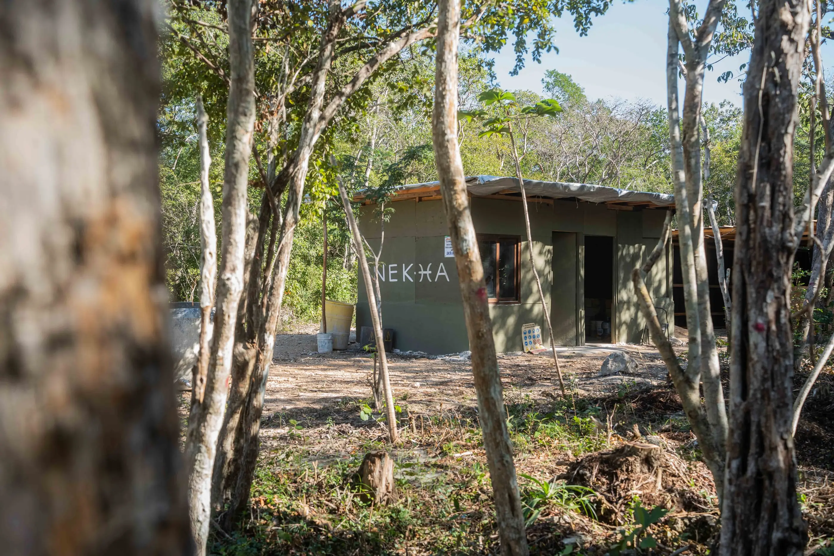 Nek Ha · Work in progress — January 2024 — 11