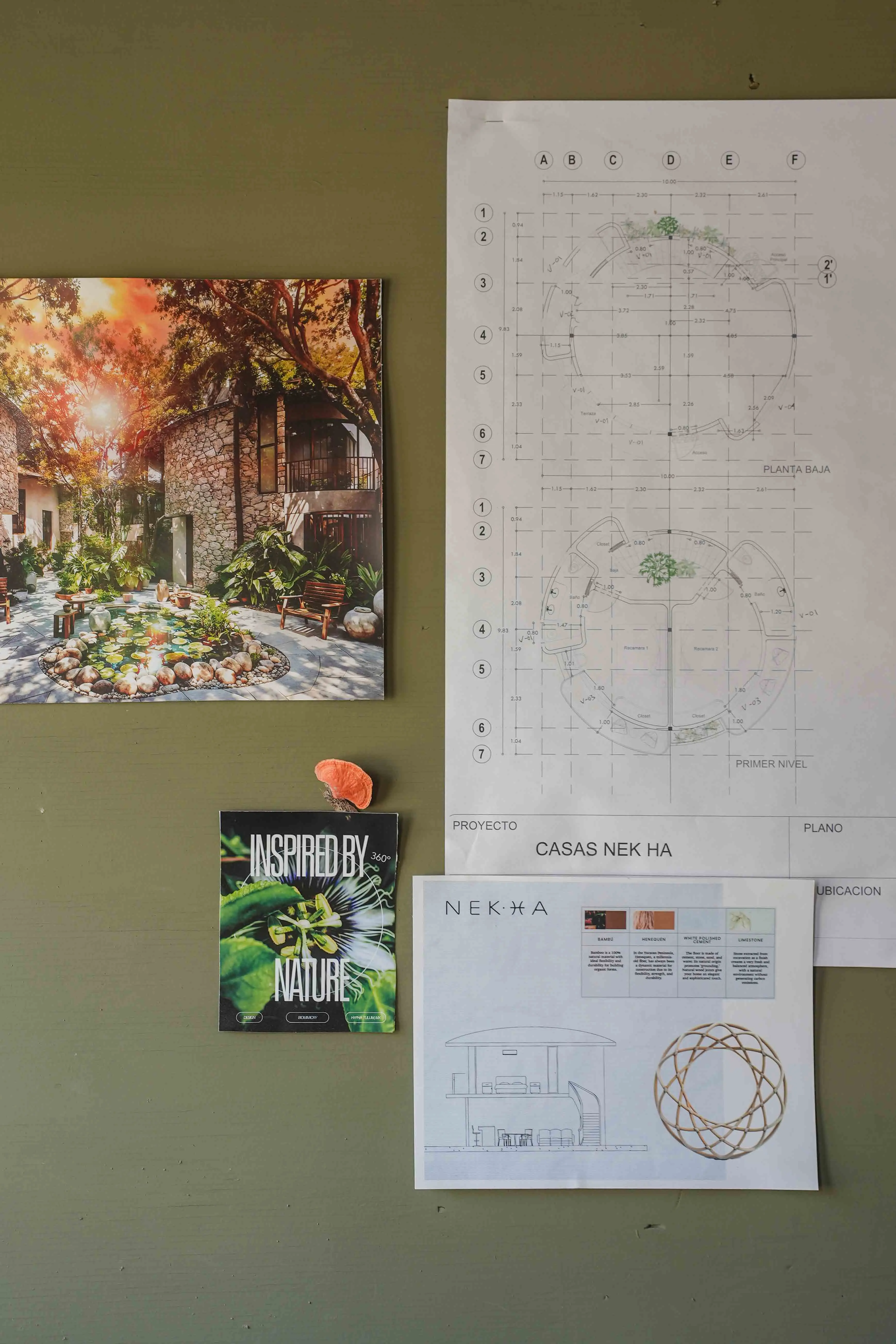 Nek Ha · Work in progress — March 2024 — 7