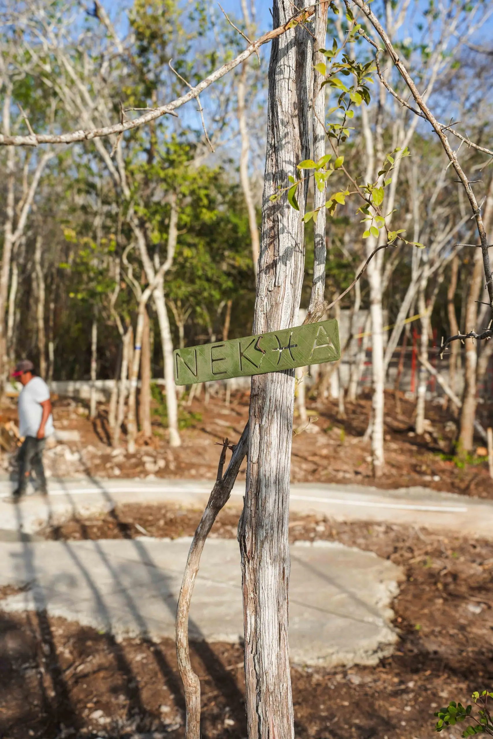 Nek Ha · Work in progress — March 2024 — 10