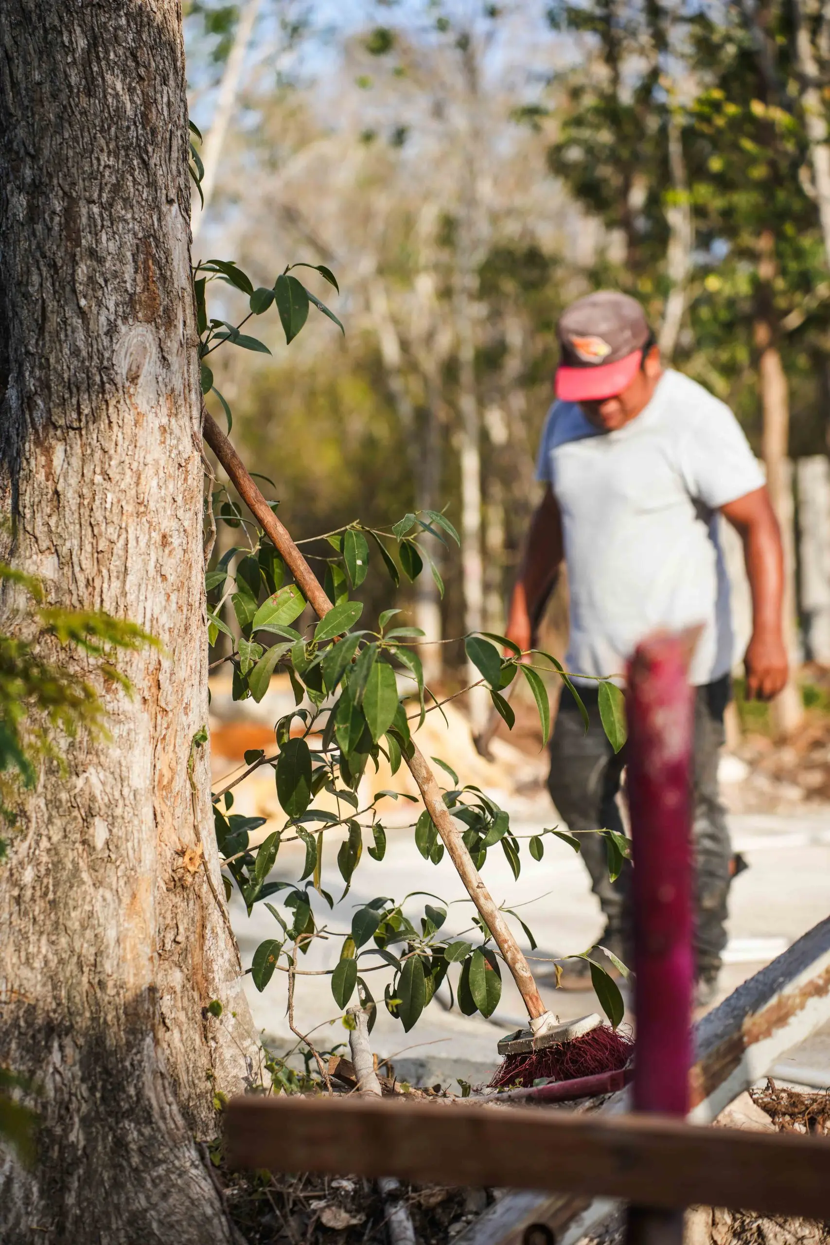 Nek Ha · Work in progress — March 2024 — 14
