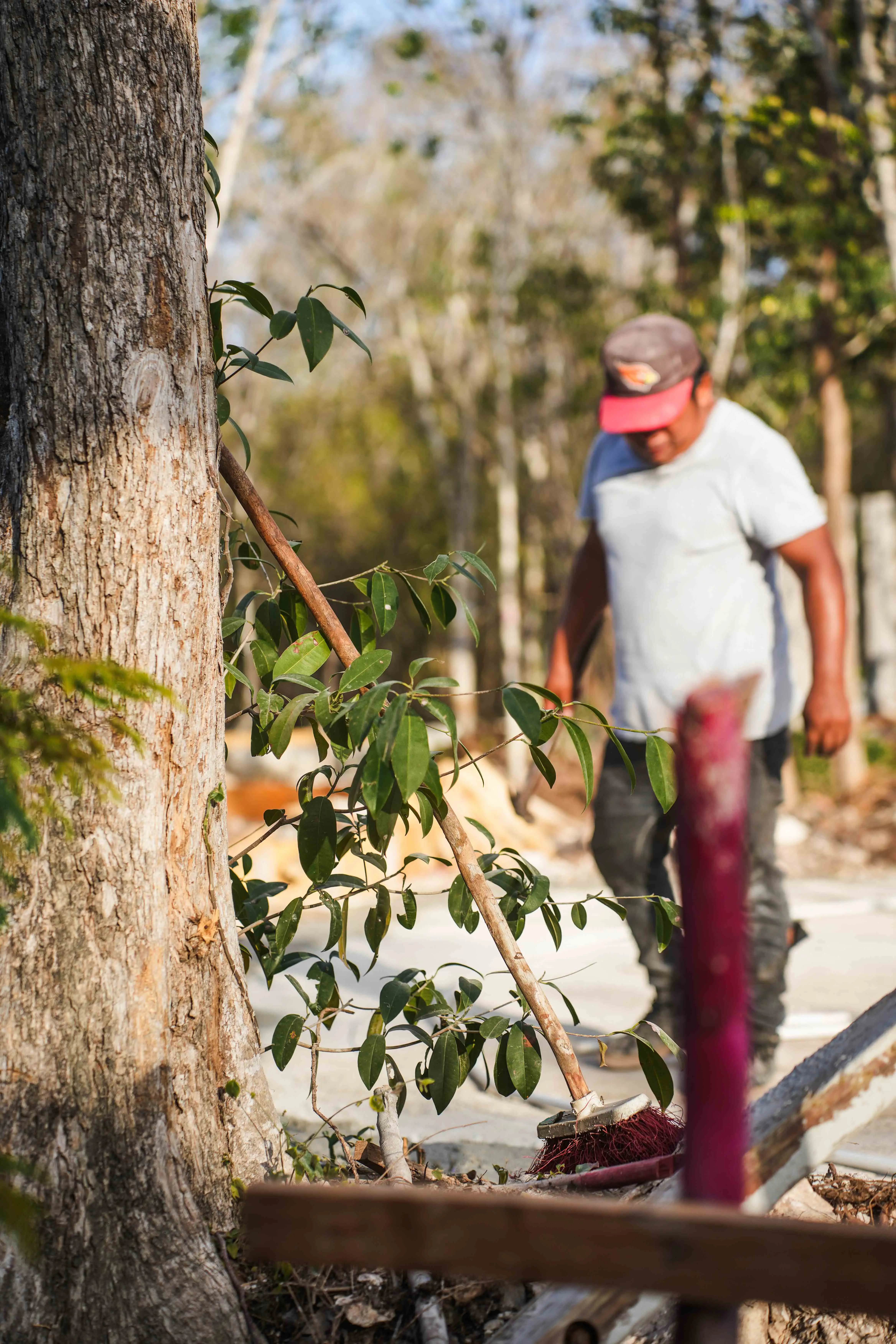 Nek Ha · Work in progress — March 2024 — 13