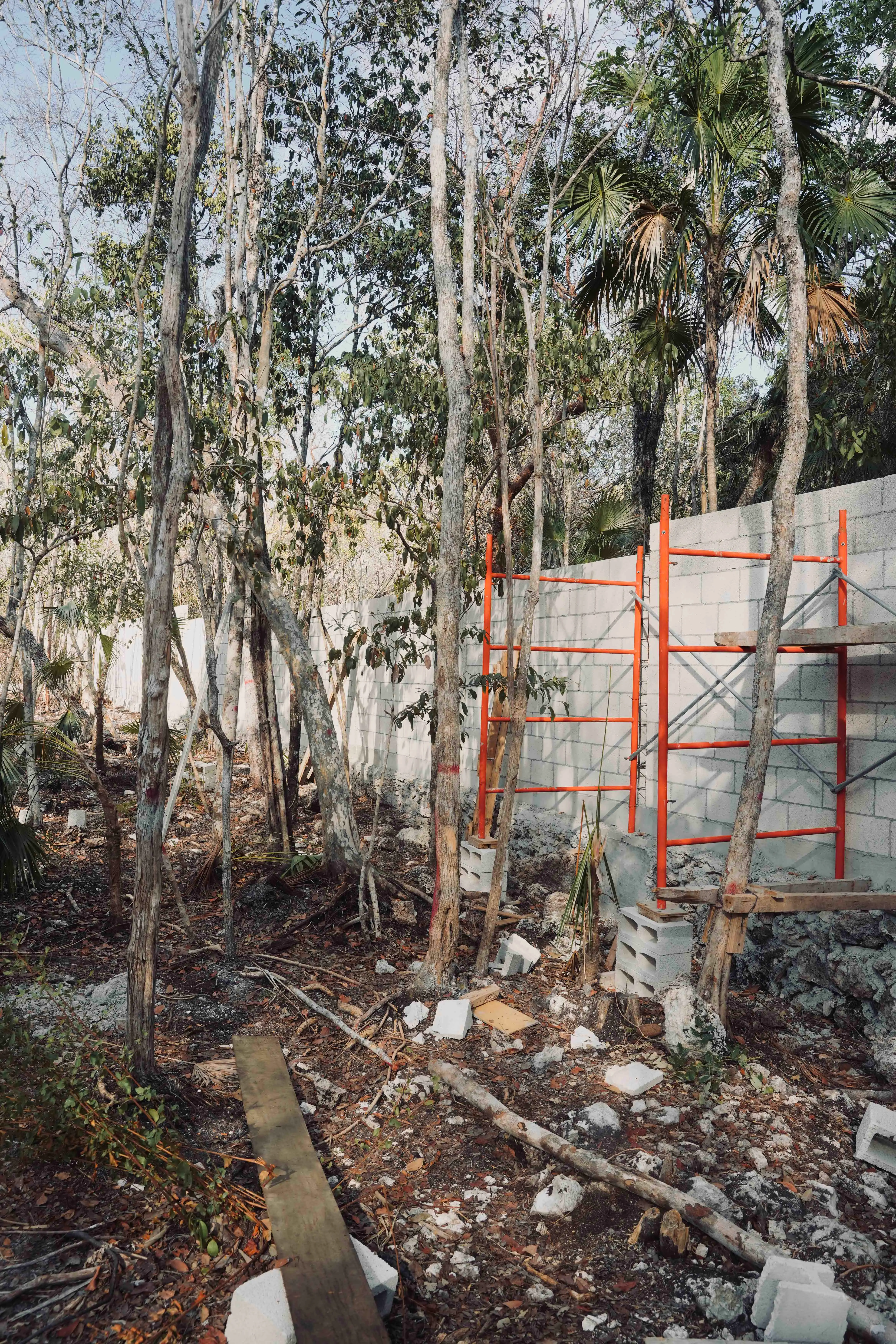 Nek Ha · Work in progress — June 2024 — 10