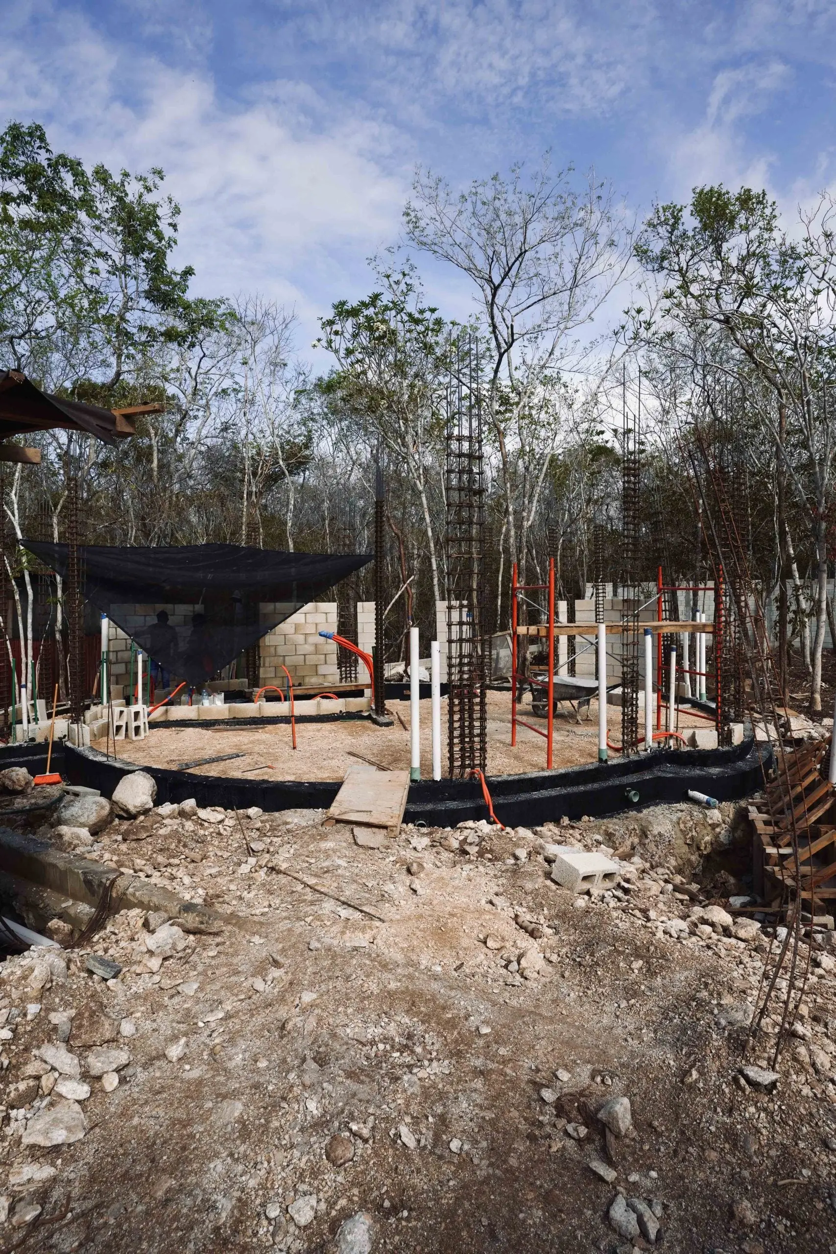 Nek Ha · Work in progress — June 2024 — 17