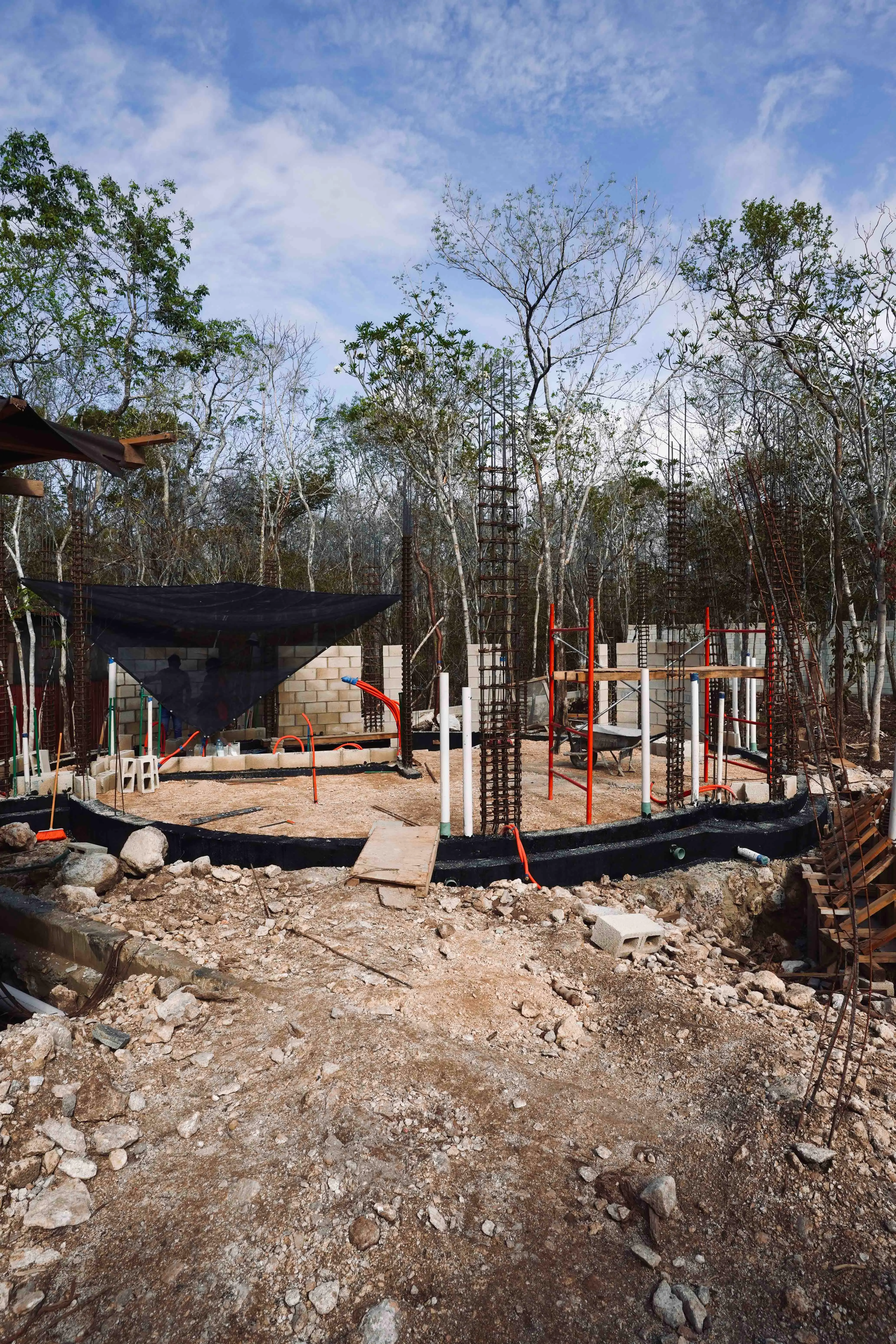 Nek Ha · Work in progress — June 2024 — 16
