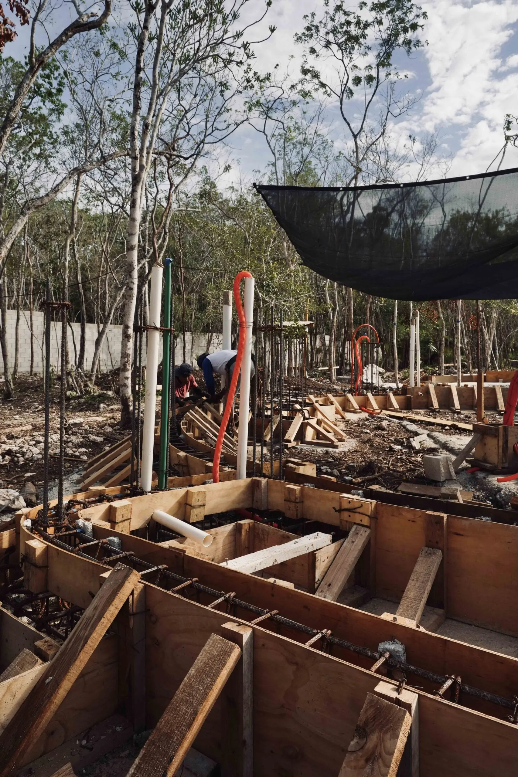 Nek Ha · Work in progress — June 2024 — 19