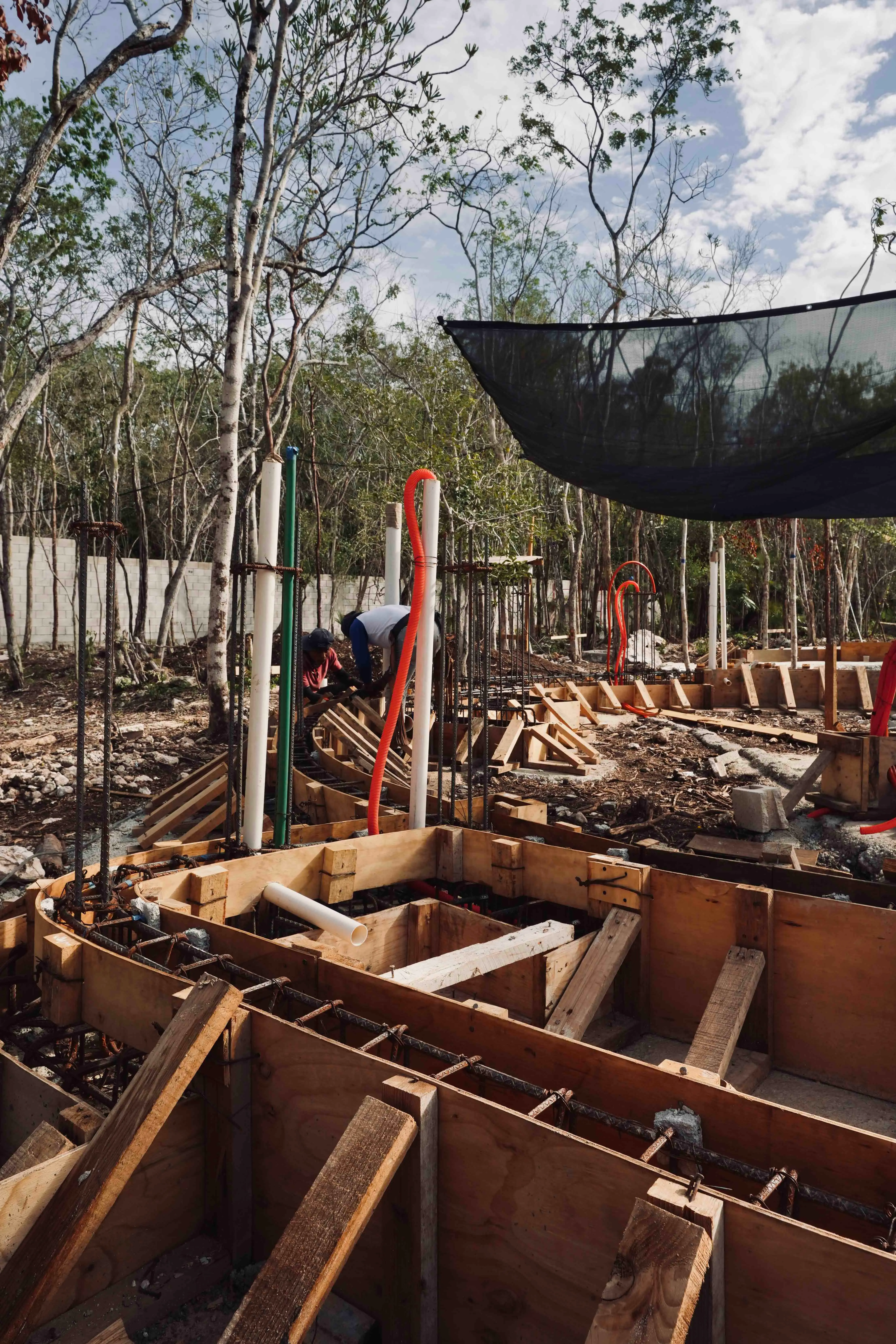 Nek Ha · Work in progress — June 2024 — 18