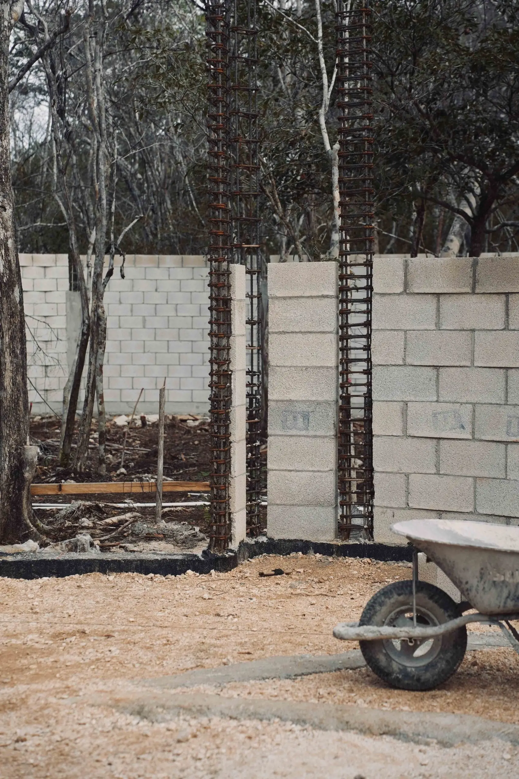 Nek Ha · Work in progress — June 2024 — 21