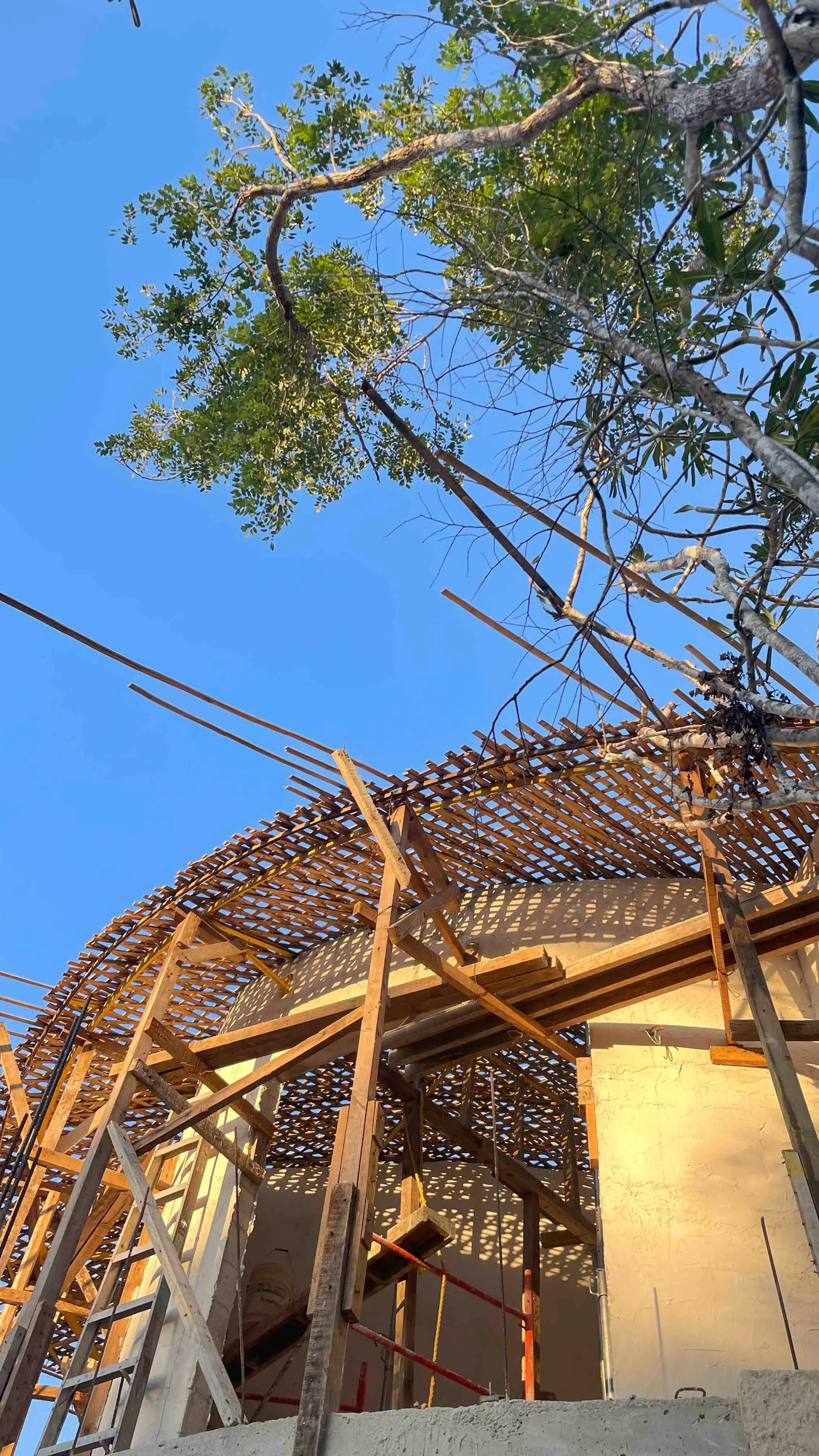 The Bio-Dome & The Oculus — 16