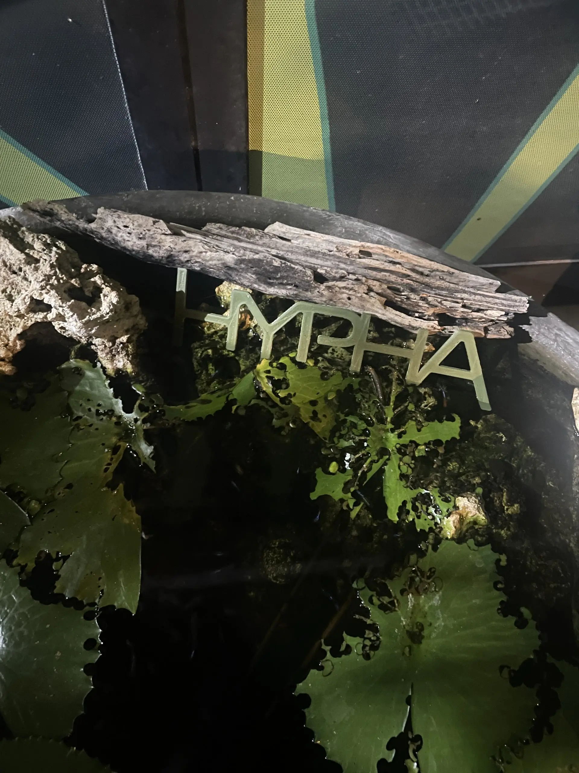 Hypha Inc. micro-ecosystem — 11