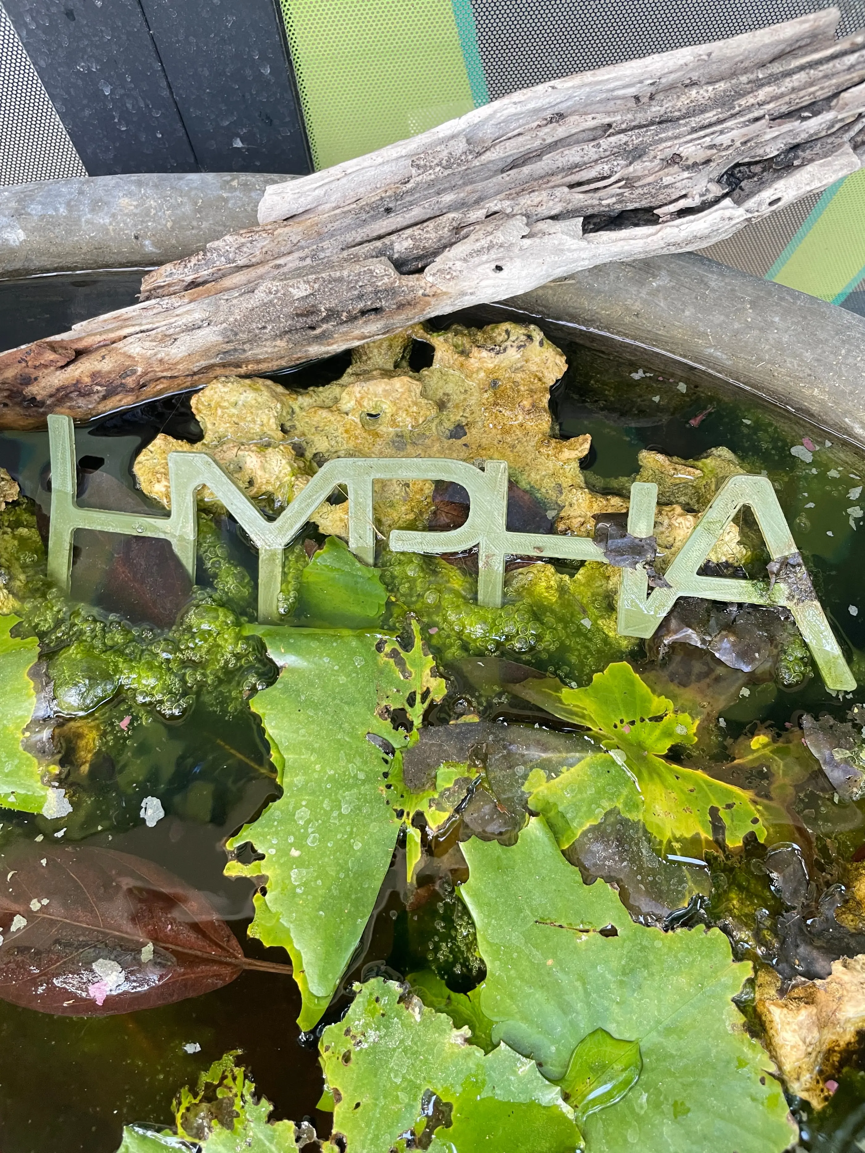 Hypha Inc. micro-ecosystem — 14