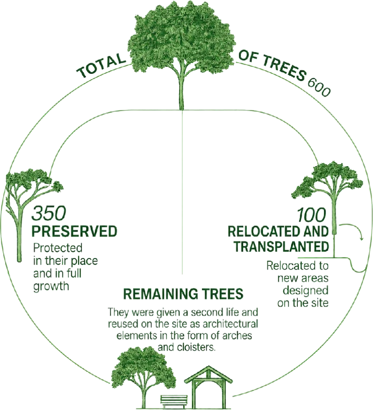 Tree census at Parque Nek Ha: of 600 trees, 350 preserved in place, 100 relocated and transplanted, and the rest reused on site as arches and cloisters