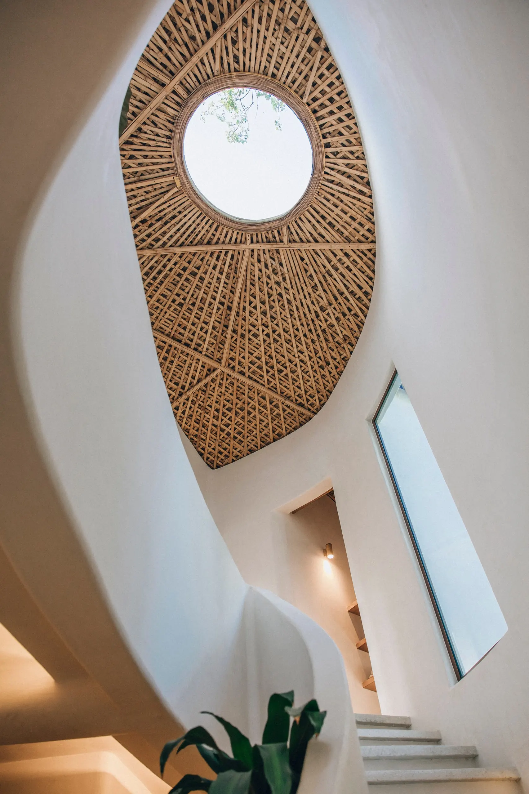 Parque Nek Ha — Built from the ground up — with intelligence