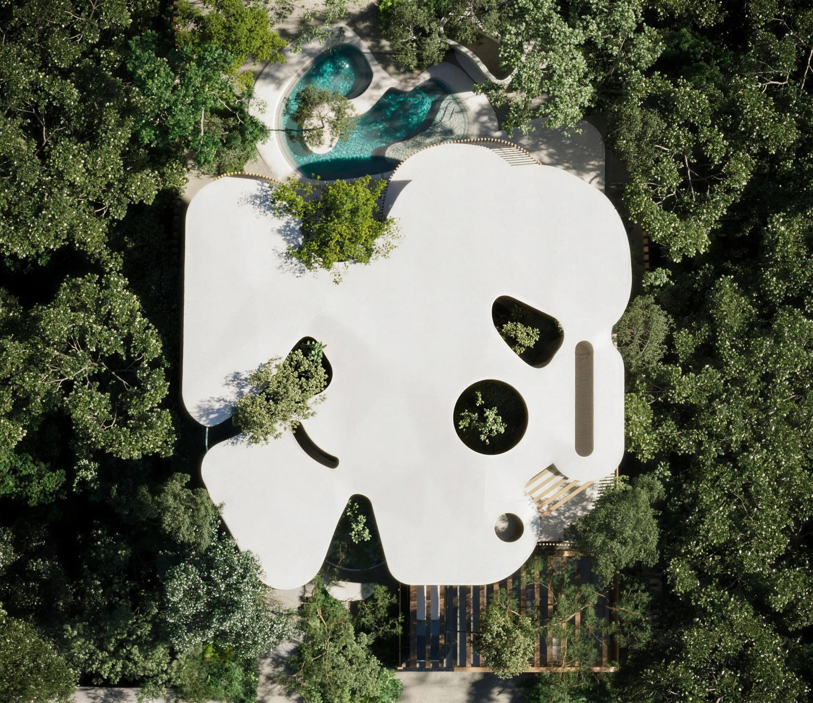 Casa Koral — Elevated living, rooted in intelligence